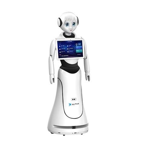 Alpha Robotics Alice